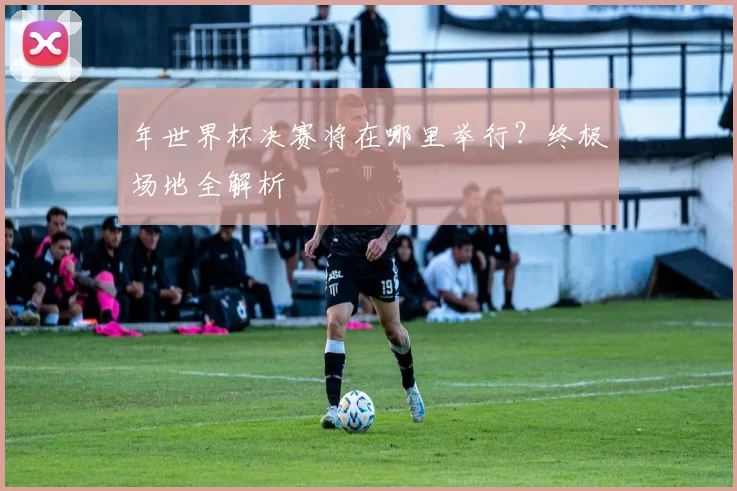 年世界杯决赛将在哪里举行？终极场地全解析