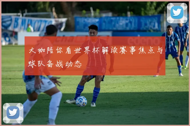 大咖陪你看世界杯解读赛事焦点与球队备战动态