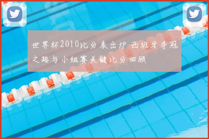 世界杯2010比分表出炉 西班牙夺冠之路与小组赛关键比分回顾