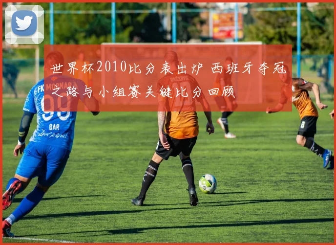 世界杯2010比分表出炉 西班牙夺冠之路与小组赛关键比分回顾