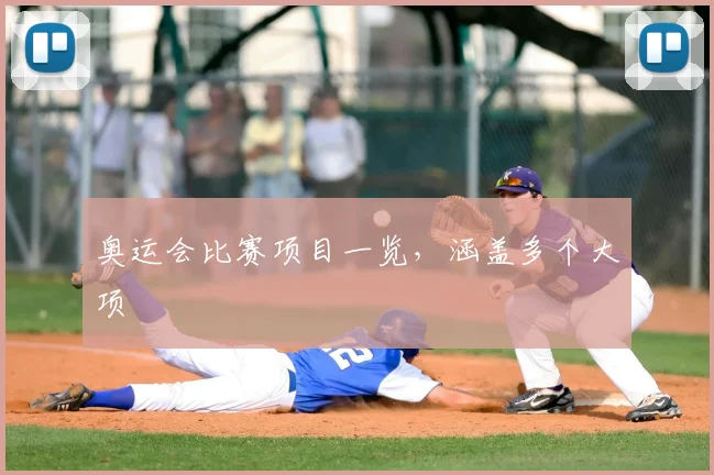 奥运会比赛项目一览,涵盖多个大项