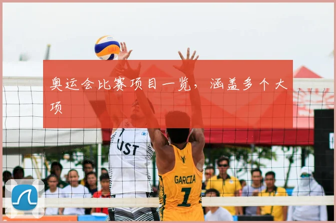 奥运会比赛项目一览，涵盖多个大项