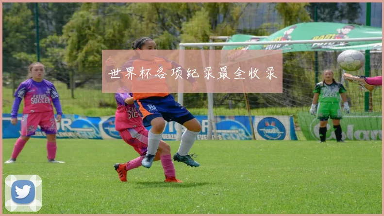 世界杯各项纪录最全收录